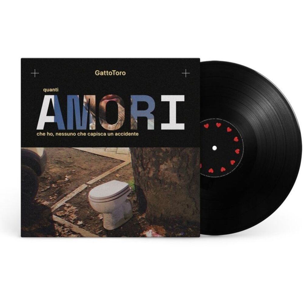 Gattotoro - Quanti Amori Che Ho, Nessuno Che Capisca Un Accidente  LP LP
